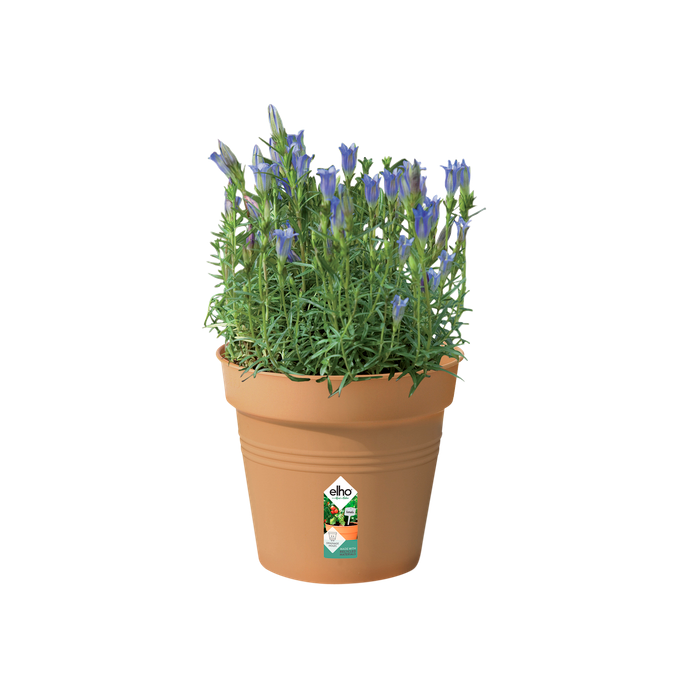 green basics growpot 17cm mild terra